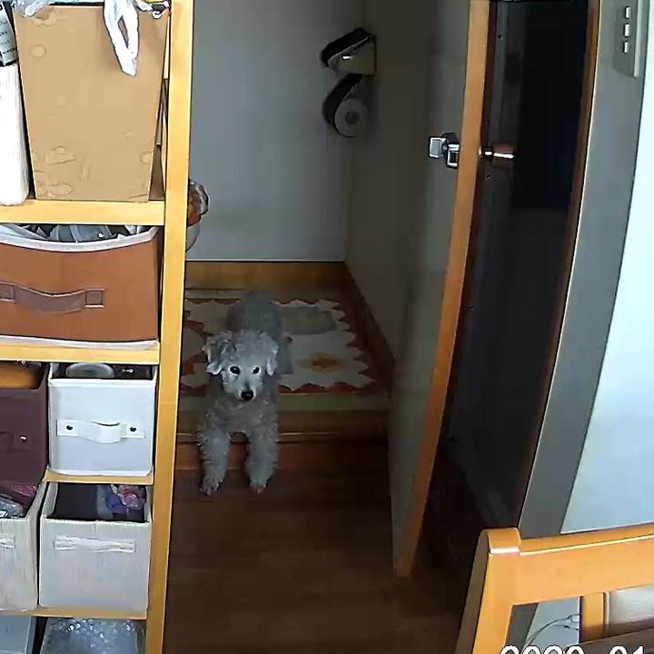 Eaa5d30a bb9f 4ec2 81f9 2eaf16d0430c 1579269449994