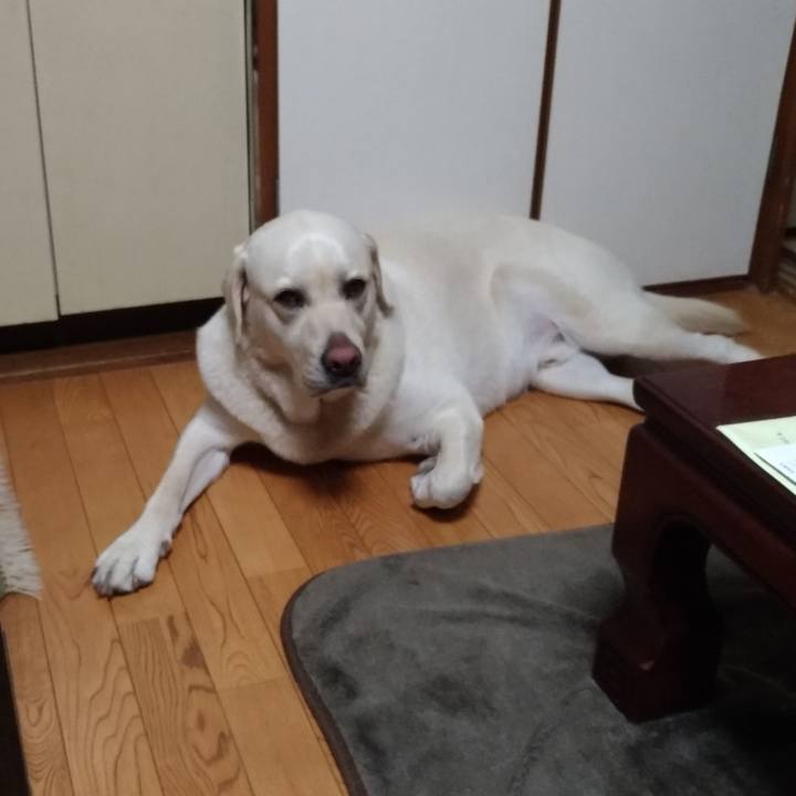 Eaa5f0b1 c33c 4227 8a51 ffc1ed845da4 1558966100109