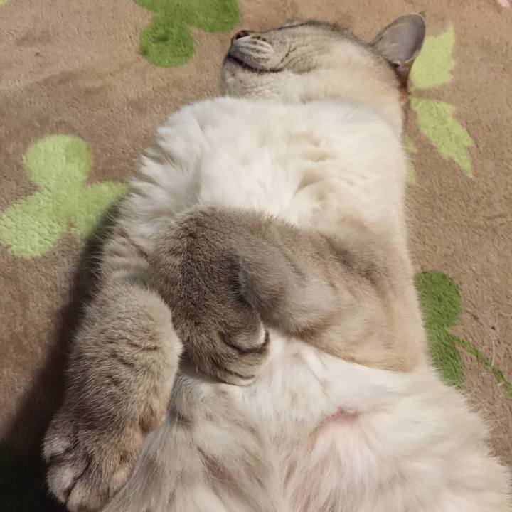 Eaa64459 0da4 42a8 8fbb 464675c7c8f2 1527421500899