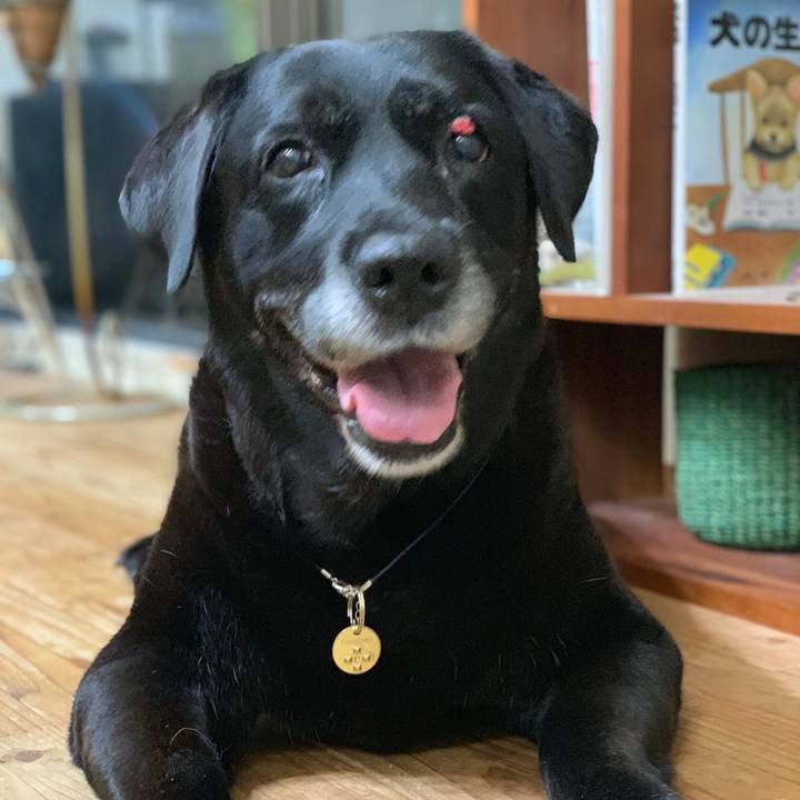 Eaa65ab3 219e 4003 84c2 86cf8b3a830d 1570059001987