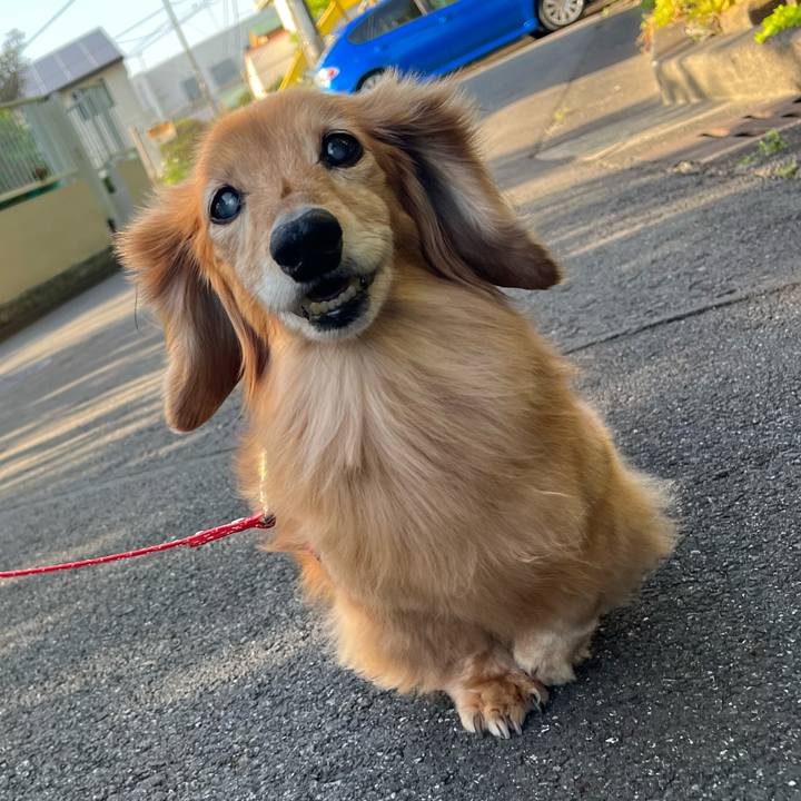 Eaa6a459 9a92 494f 8b1c acb1933431c0 1683203046937