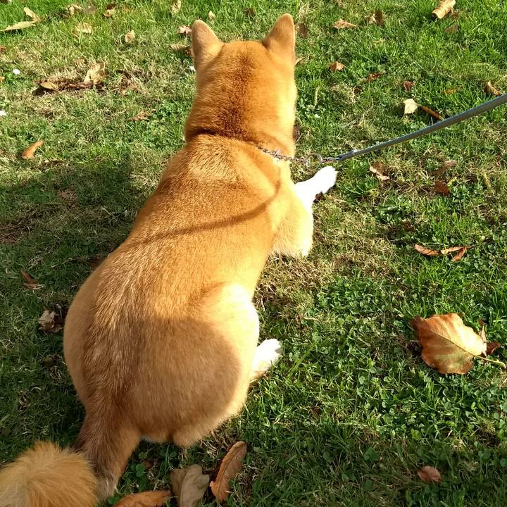 Eaa6b298 59a1 4700 9e7d fa6b640f94c4 1512081946064