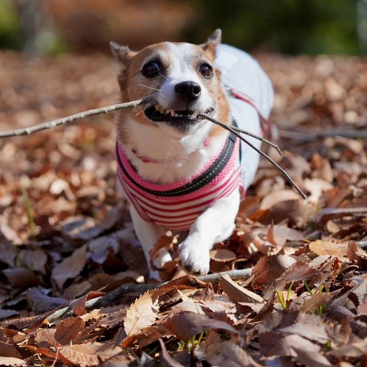 Eaa6ceb4 9596 441f 85a2 eb5a066d5ee8 1764021937191