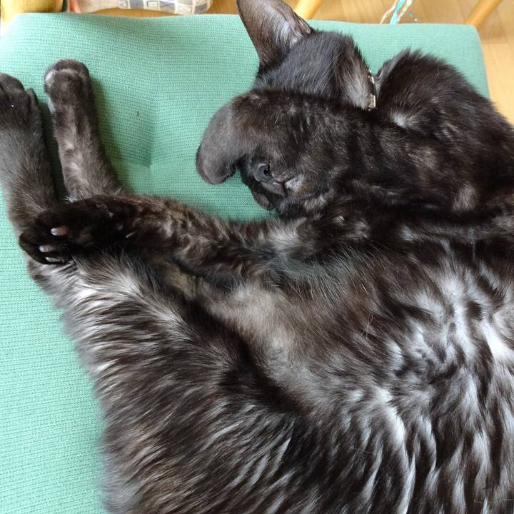 Eaa6e1b0 054b 440d 82e6 23971c0e4473 1525662444196