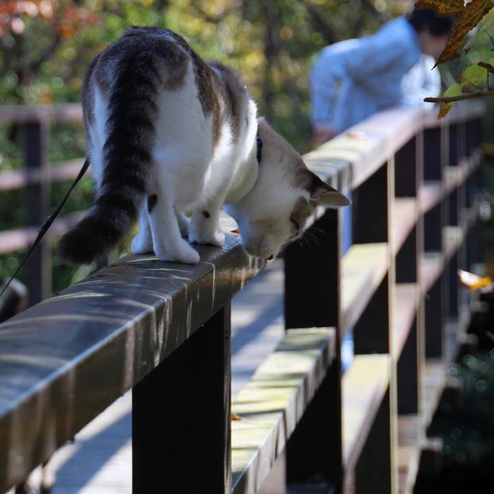 Eaa70f0e bd66 4357 b4ea 5f08253dd744 1669333839041