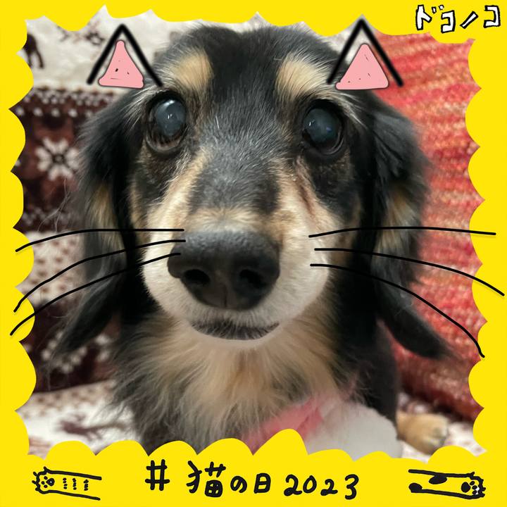 Eaa72411 488a 4e42 ac09 44d96a478c1b 1677066332688