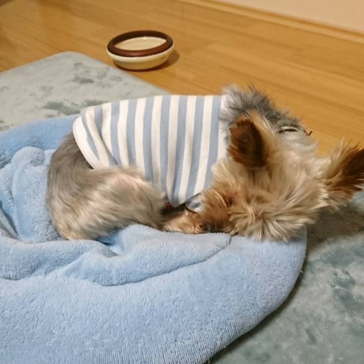 Eaa74243 aaaa 4fdc a4a2 dd72f0d73967 1513406025647