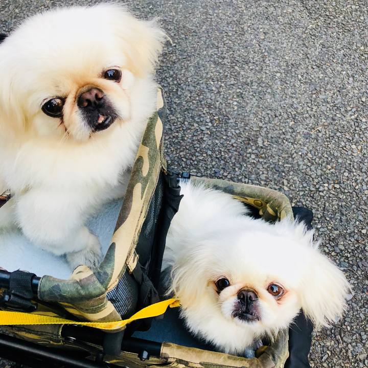 Eaa74a4b 63fb 4cf8 928b 99ffb714c37f 1601761297945