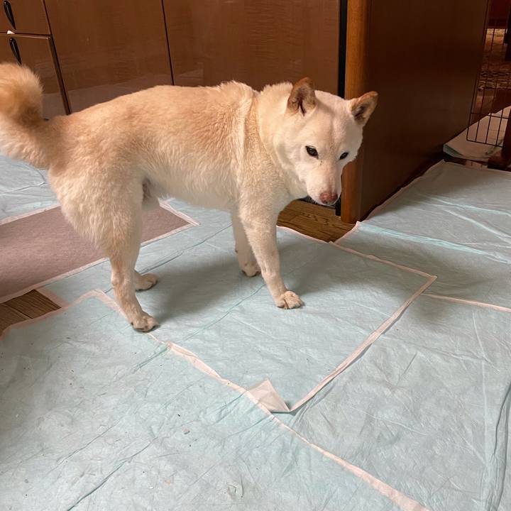 Eaa7ab0e 4adb 48b6 8cec 28157878594f 1634785912139