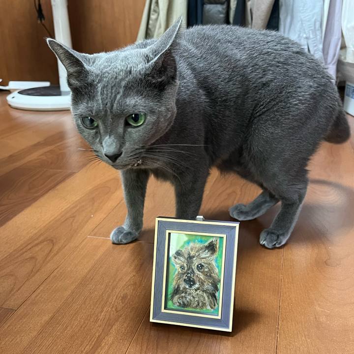 Eaa7afa4 a168 4fbf b279 cf38d9a8dd43 1696824664394