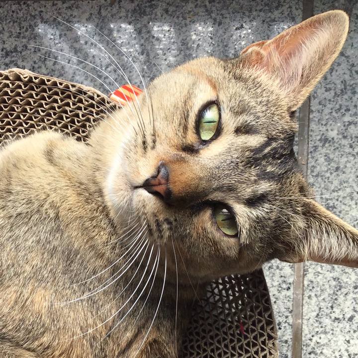 Eaa7b491 e11d 455c 88f1 c76868fa6558 1582944470682