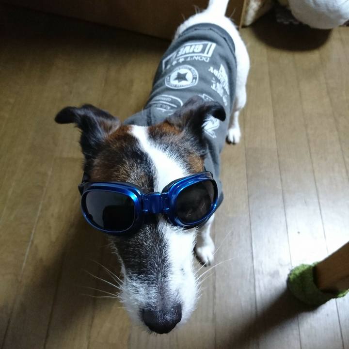 Eaa7e0fa 8058 4a79 9ad1 792e42ca4242 1513084875794