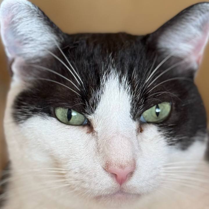 Eaa8014f 101f 4d58 929e a4f97d073005 1759802024514