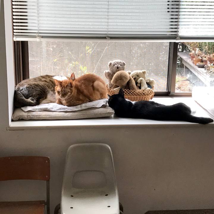 Eaa806a9 c162 4375 a6f8 debc3056511f 1550713549496