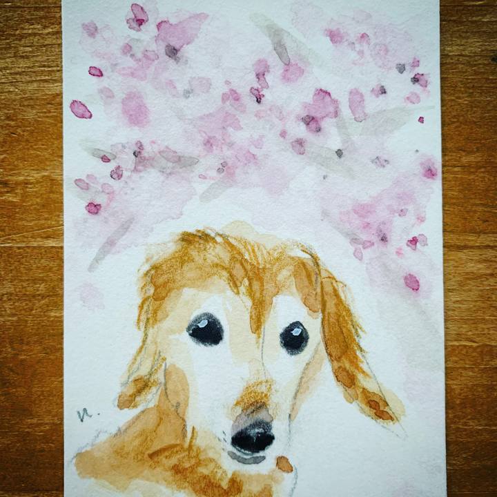 Eaa808cd 9de4 46bf acac f1e7dbd765b4 1608849967730