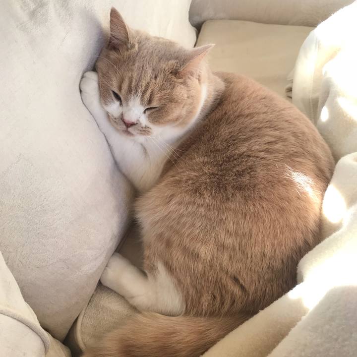 Eaa88fa3 ebb9 48fe 8148 0f746e3d734d 1512533539340