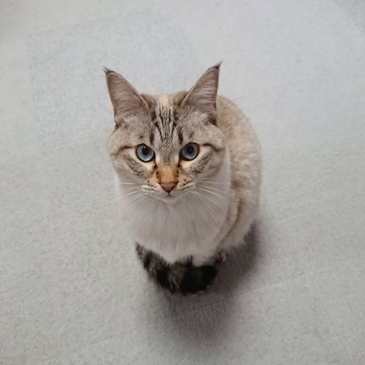 Eaa89879 37d5 40ab bbc2 fcecdc5a1734 1608449975168