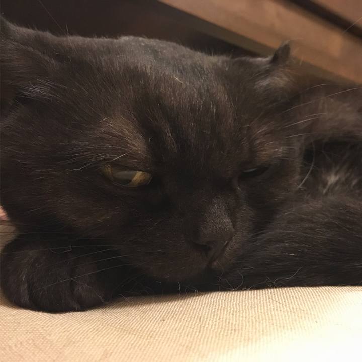 Eaa8a272 7c1f 42b5 a163 a0331d9cd62a 1536767854019