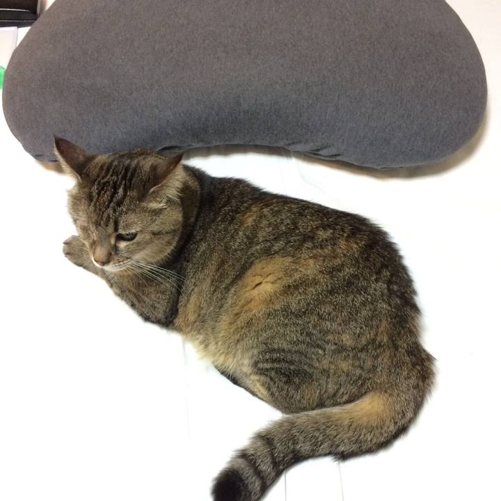 Eaa8b20a 5f68 4f17 bf5d cd33bb3b59e7 1551275413920