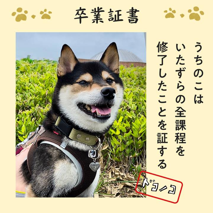 Eaa8b3b9 94c9 4034 9dfd ad114701f189 1771990561239