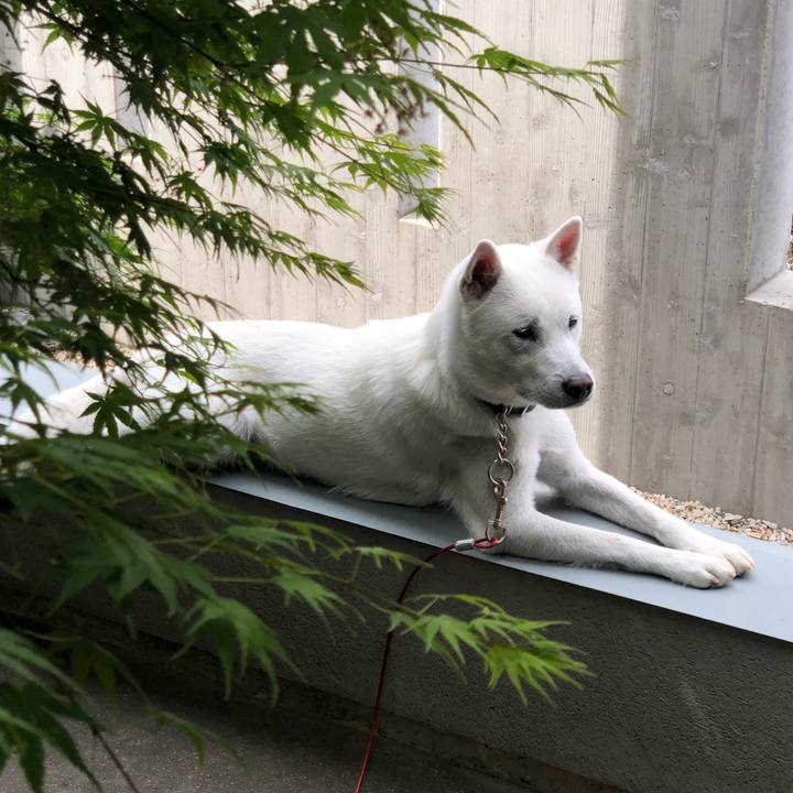 Eaa8eed3 fb1e 4689 874d e3338aa30611 1555213528216