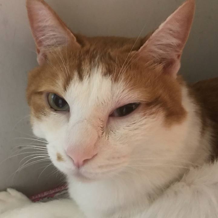 Eaa9005d 0ba7 4850 86dc d58b73000ff9 1567683569598