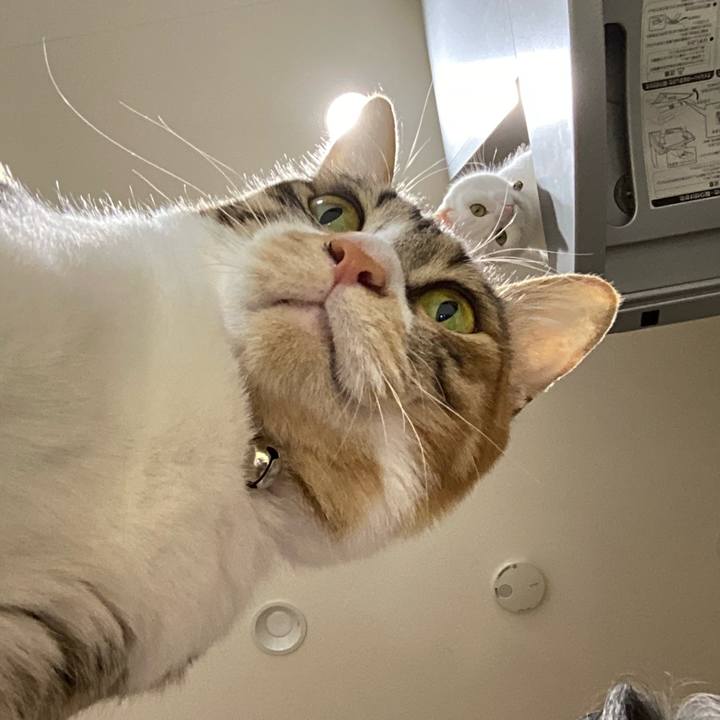 Eaa91d0d 4896 4c4e b0be 7ffe3f6450ca 1704873221816