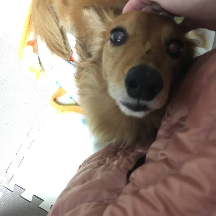 Eaa920b5 e82c 47bd abd5 2778a3ebc1da 1521719093215