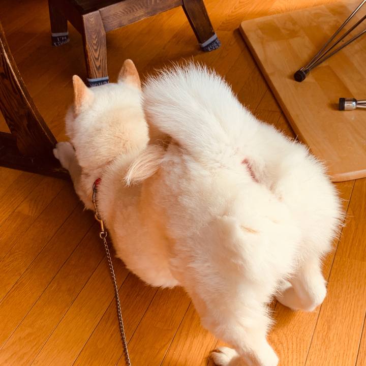 Eaa9691b 094c 489d 80e7 ca6bde3bd24c 1584498877163