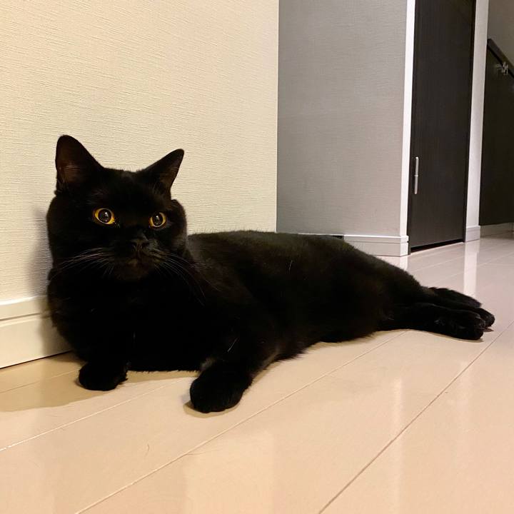 Eaa9a4cc eb17 43d0 9400 2950e35ea685 1596719260361