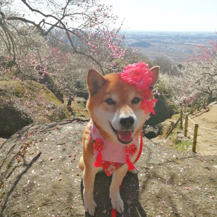 Eaa9cb9a ccf6 49dd 8942 a500827b42e3 1677849922088