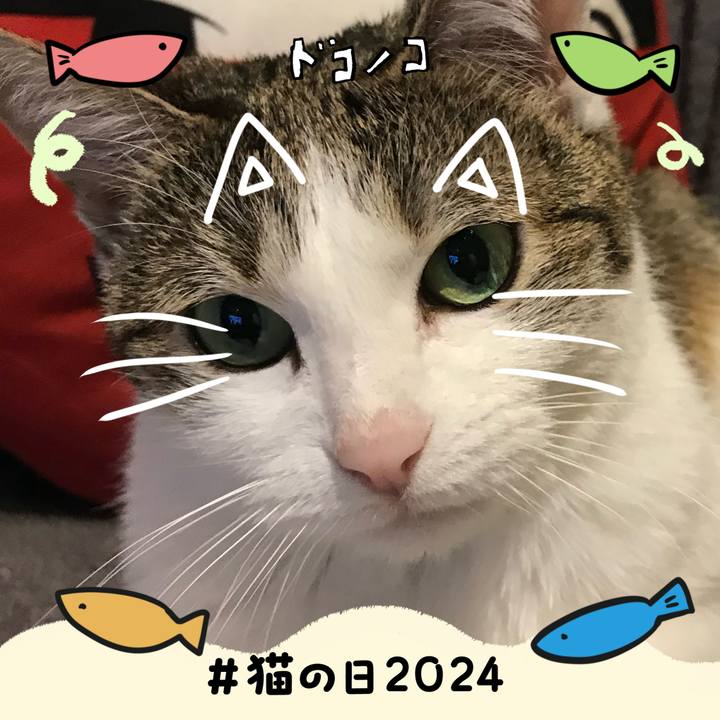 Eaa9e556 073c 4535 bcfd 0f29557d3855 1708589563416