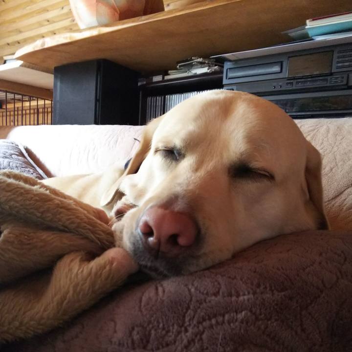 Eaaa1fe9 4b48 43b0 bfdc 73ac068a1354 1578710656172