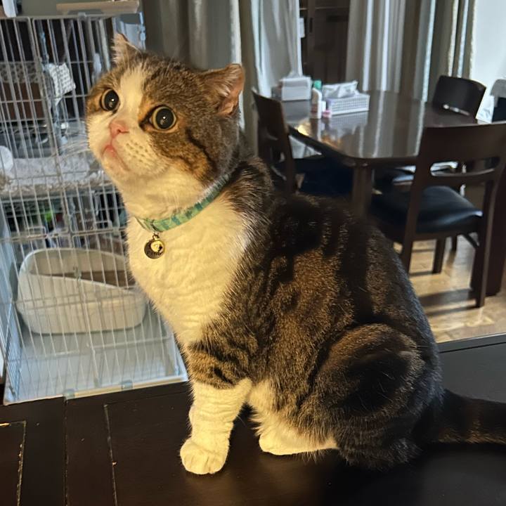 Eaaa25c4 ae84 4dfe 8712 d7979da1505f 1759791378504