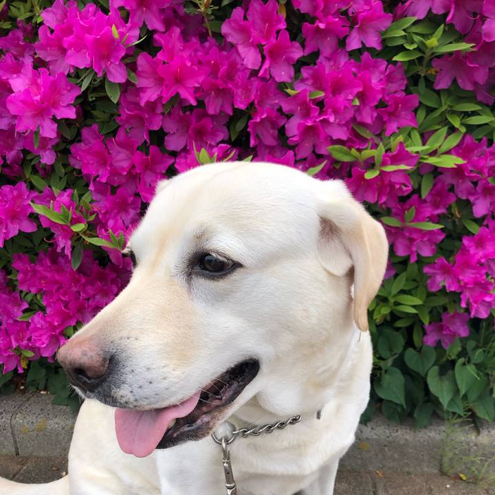 Eaaa2f7a c753 4d69 9609 5fbc4aec781e 1651116641666