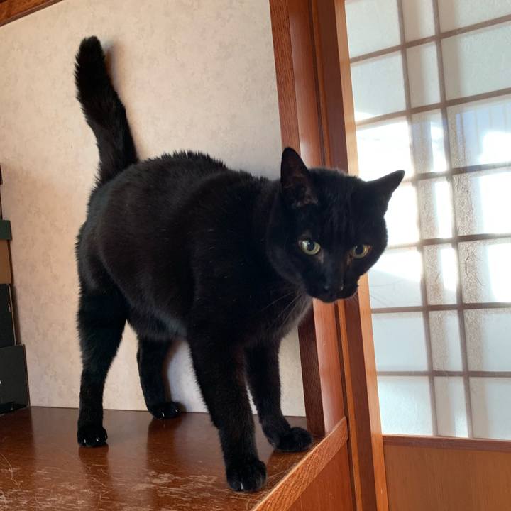 Eaaa309c a02f 47fb a520 d09377f9d010 1553650730998