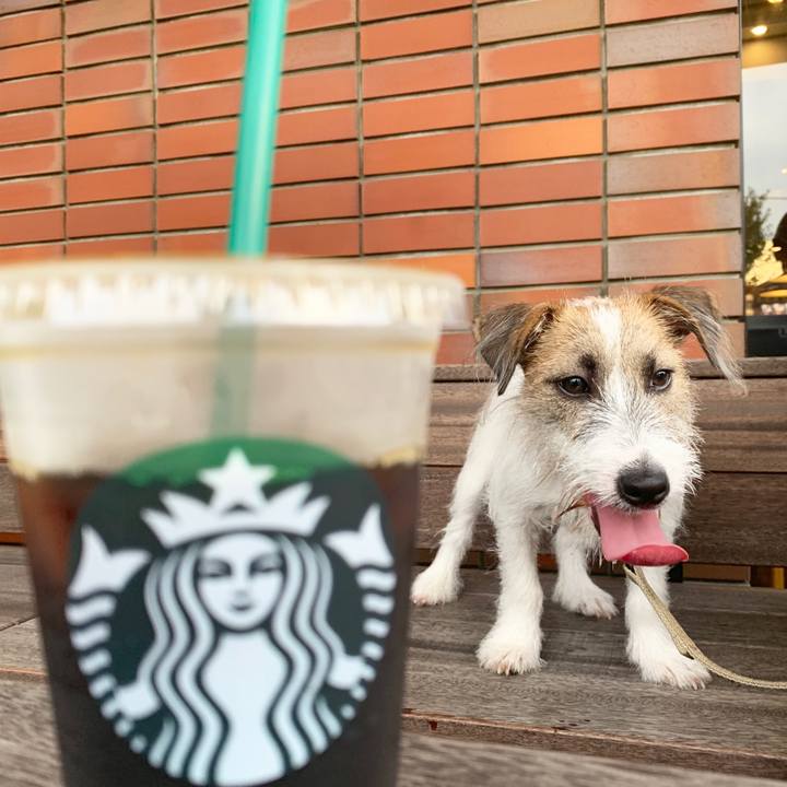 Eaaa36f3 6e3d 4669 b056 e7494fd0a335 1565658515262