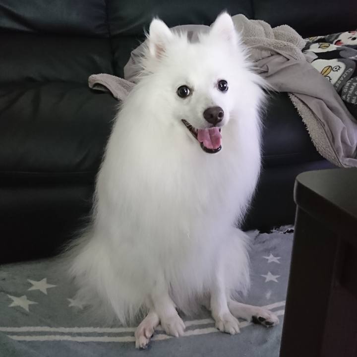 Eaaa3968 9266 4416 92e0 0b020b2a5875 1593673888983