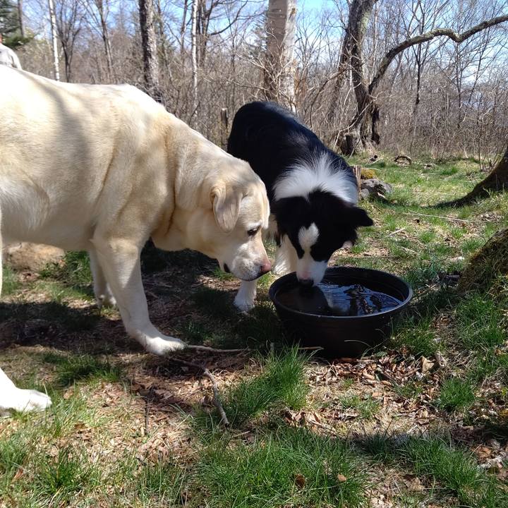 Eaaa5a13 f5f9 40c5 9941 dc0c07a93102 1683111811339