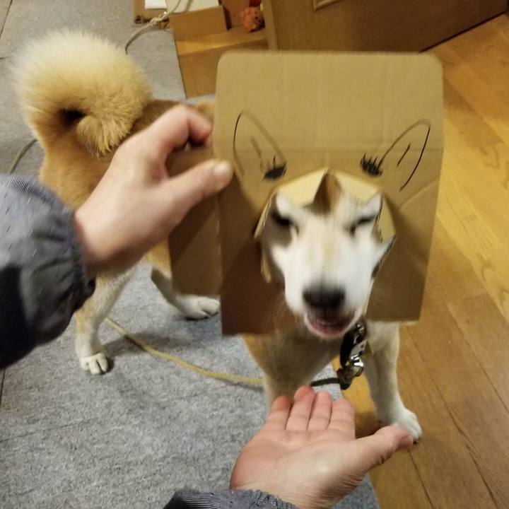 Eaaa98af 15d7 4b8a bf04 b81d492e1f7c 1589538246071