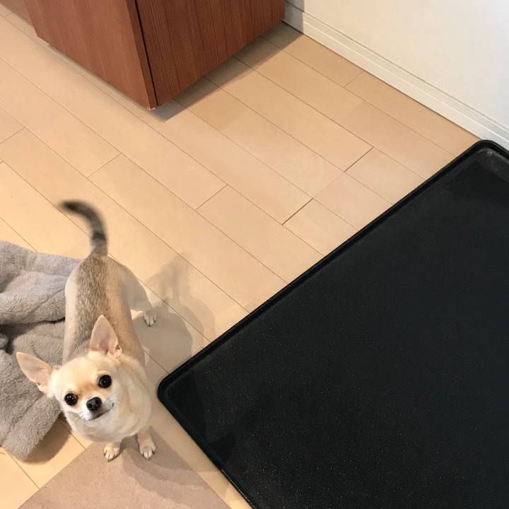 Eaaae23b 27db 4776 84dc b4163fdf97b8 1523752529648