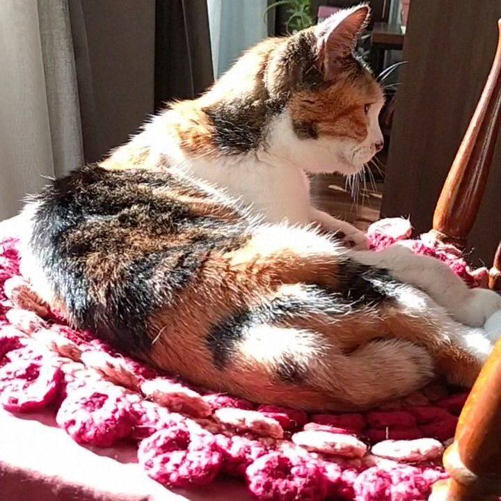 Eaaafd31 d89b 419e 923d 3cc9c9e25d31 1764375941814