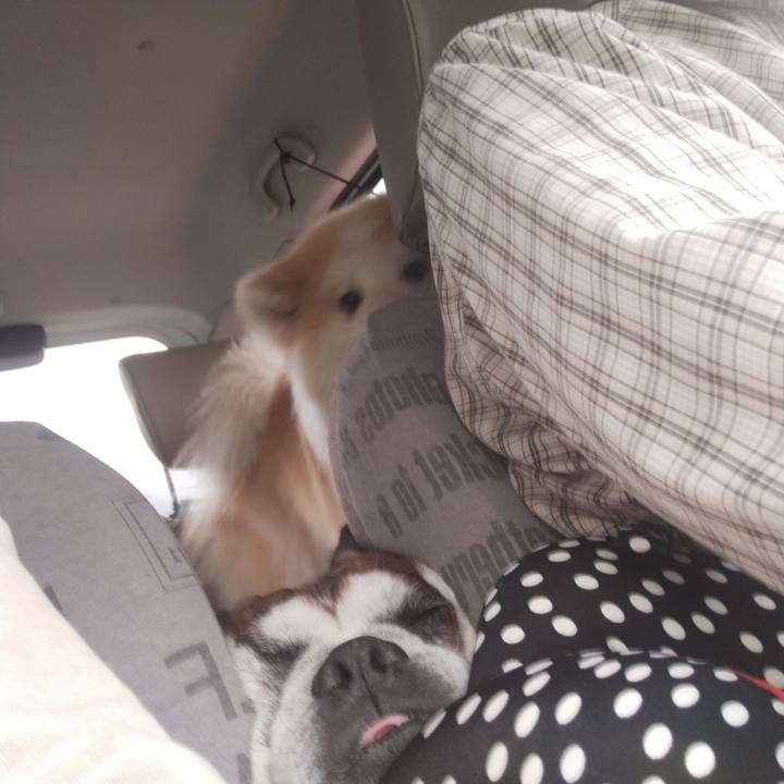 Eaab0af6 ba7c 4820 9817 9cda76d1b22c 1628865298548