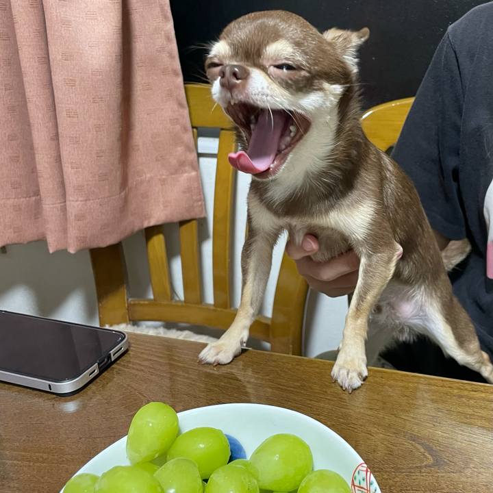 Eaab79d1 5220 4c26 a55d a94ff6f67eb4 1663242709070