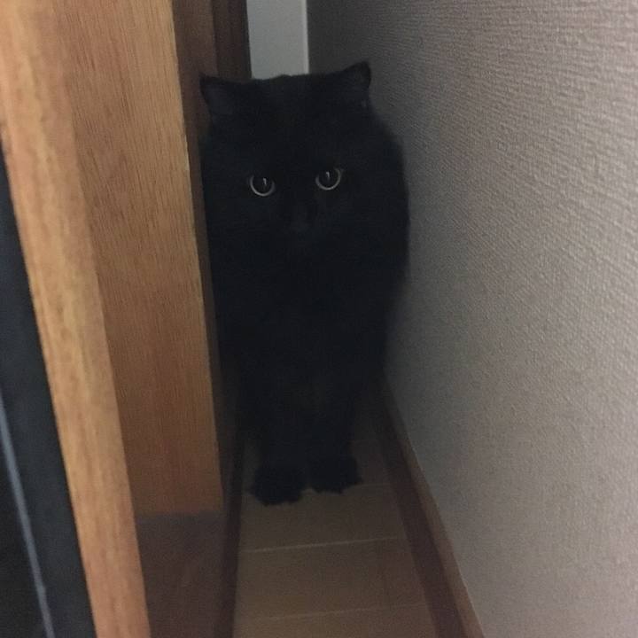 Eaaba047 4bf8 466f a5af 15a5a1b04a6f 1541746817277