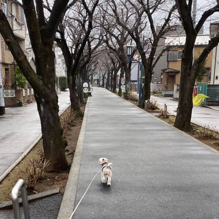 Eaabc8ce e670 448d 838f 77eaec6c78c0 1579754931200