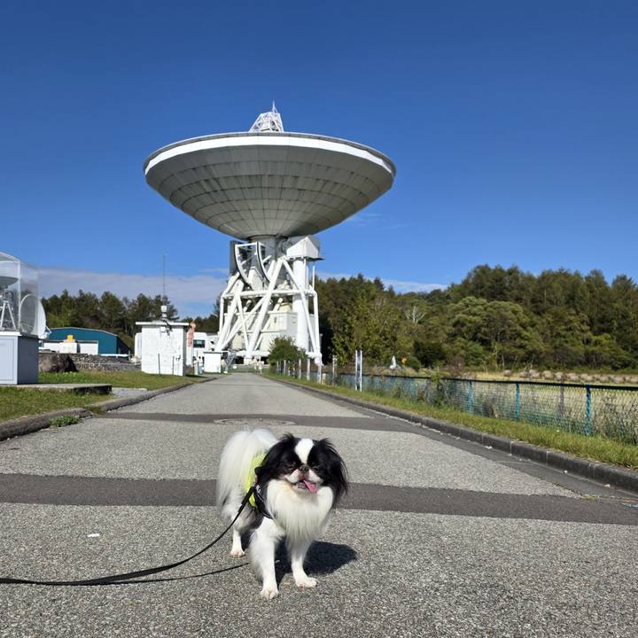 Eaabe529 7466 4119 852e 4cbcf9221173 1760093971467