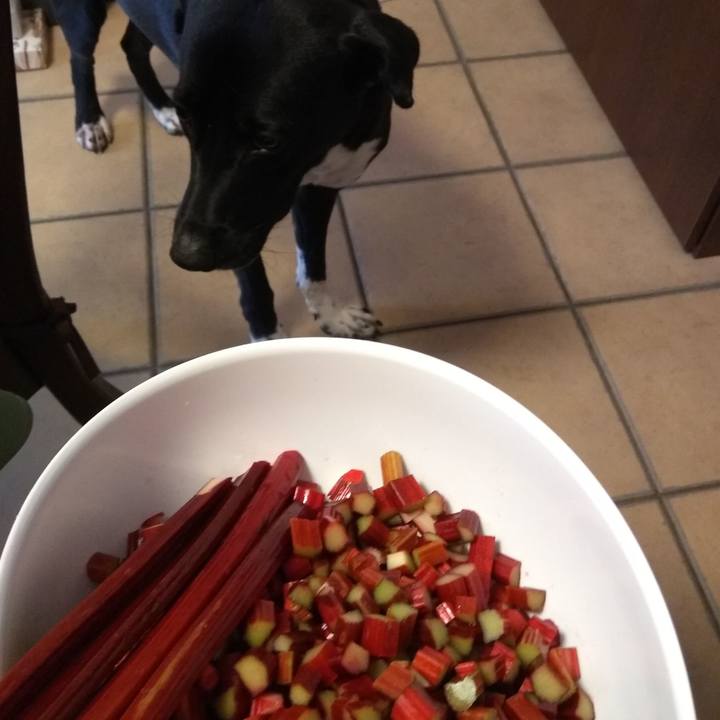 Eaabf5df 7bb7 43f8 9aa9 da75893e7e2f 1595239110571