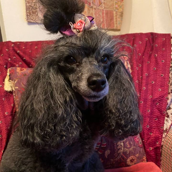 Eaac10f2 00a6 4b9c bc86 1a0d3025832c 1728307739049