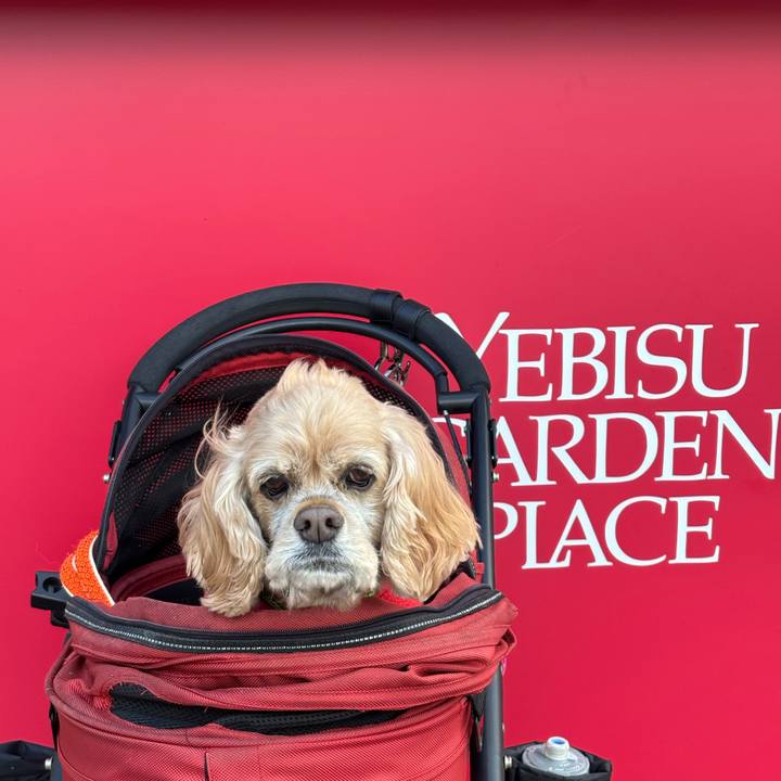 Eaac22b2 ca56 4f91 9332 0e10fd145061 1762783095861